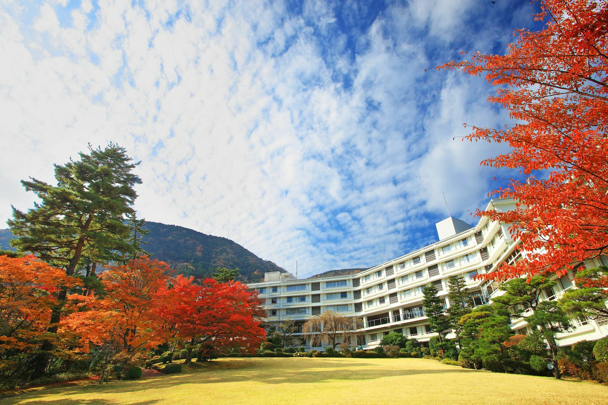 Hakone Kowakien Hotel מראה חיצוני תמונה